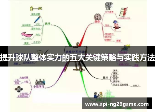 提升球队整体实力的五大关键策略与实践方法