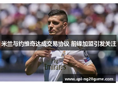 米兰与约维奇达成交易协议 前锋加盟引发关注