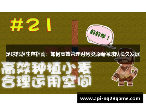 足球部落生存指南：如何高效管理财务资源确保球队长久发展