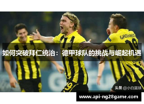 如何突破拜仁统治：德甲球队的挑战与崛起机遇