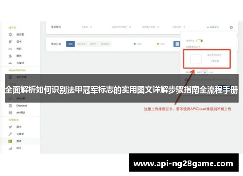 全面解析如何识别法甲冠军标志的实用图文详解步骤指南全流程手册